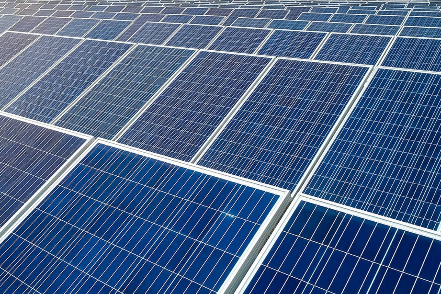 Sostenibilidad como valor en El Conchel